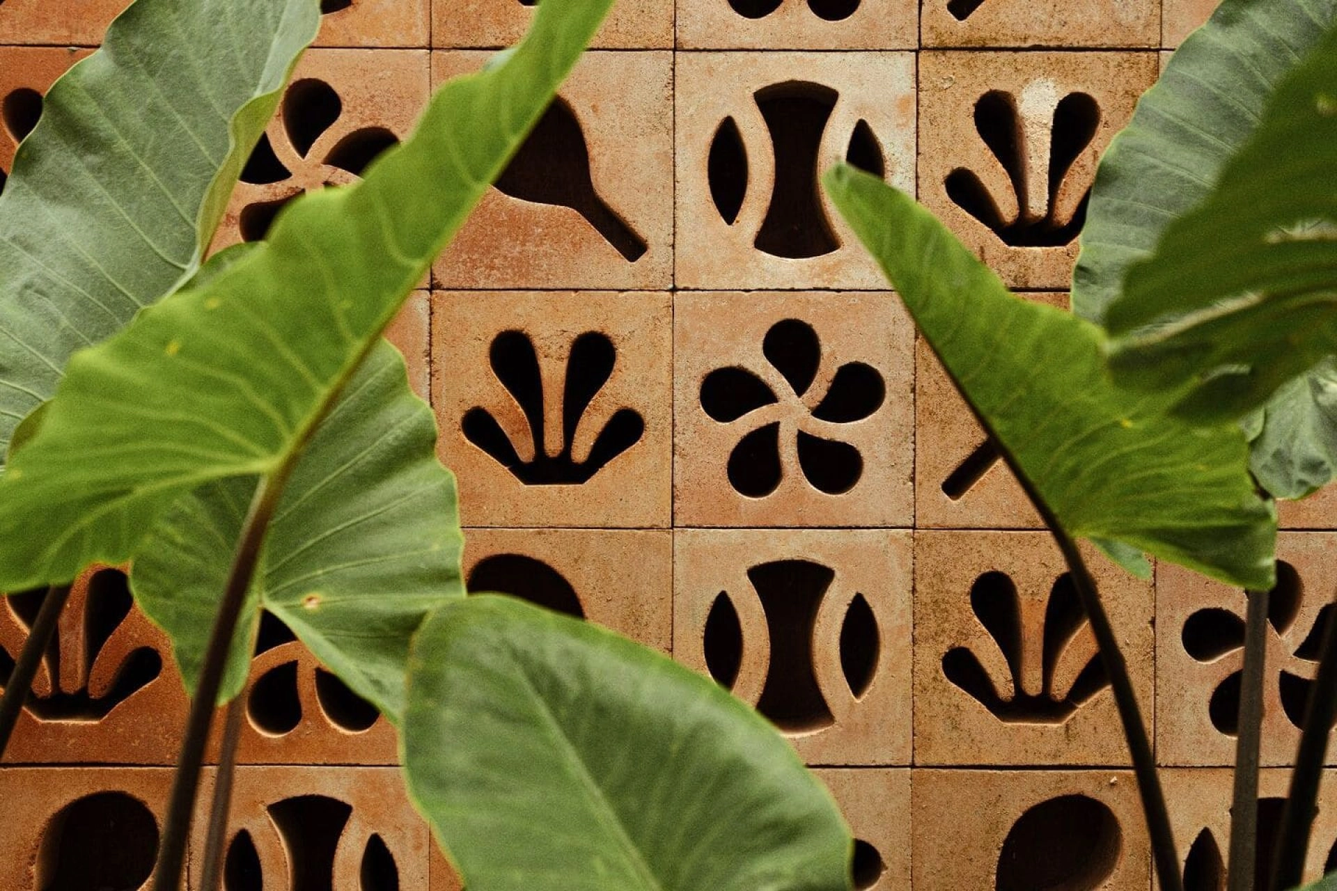 Tropical plants in front of a decorative terracotta wall at Mouratoglou Tennis Center Bali.